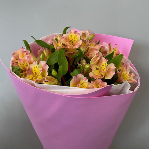 review-photo-before