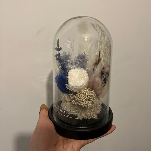 review-photo-before