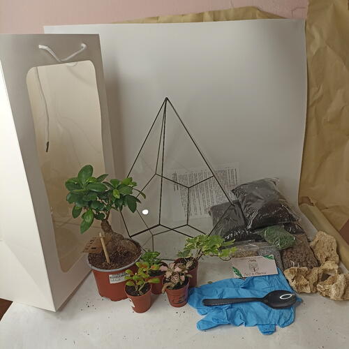 review-photo-before