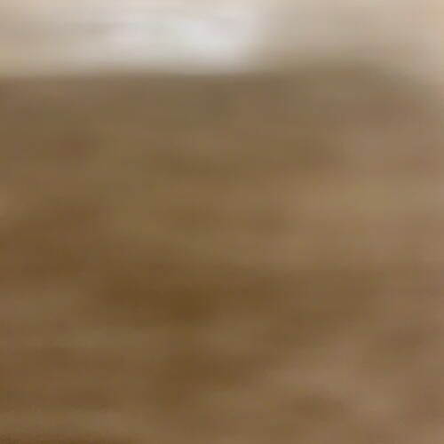 review-photo-before