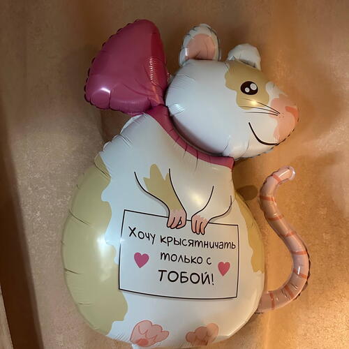 review-photo-before