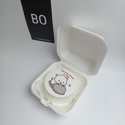 review-photo-before