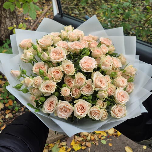 review-photo-before
