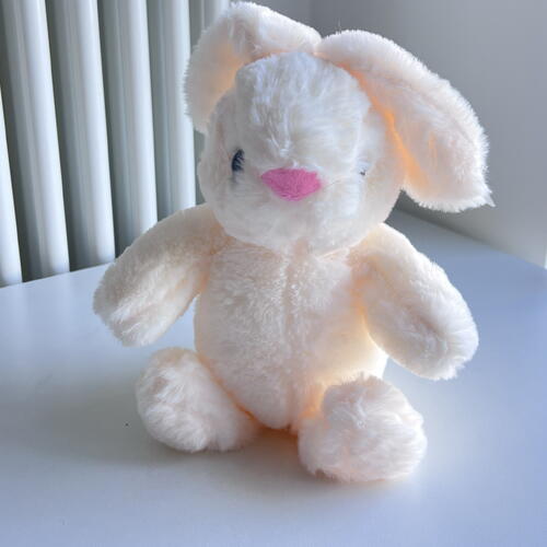review-photo-before