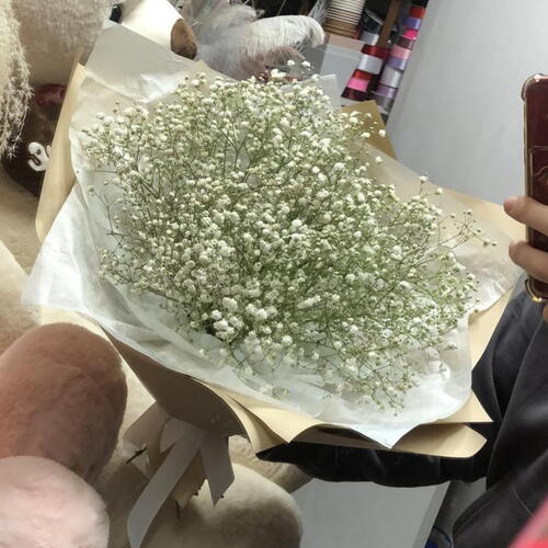 review-photo-before