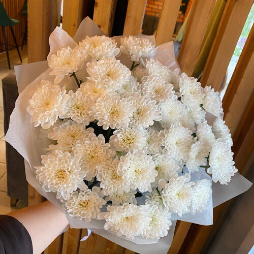 review-photo-before