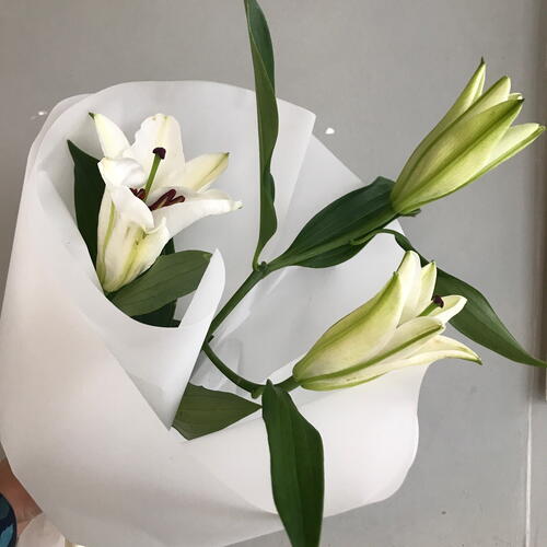 review-photo-before