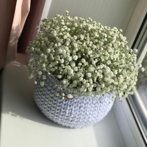 review-photo-before