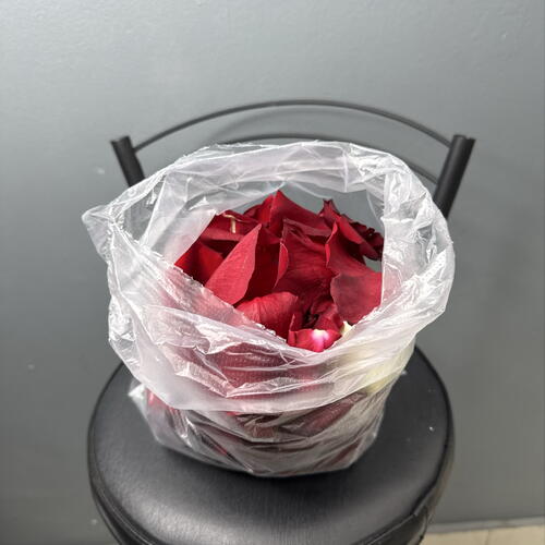 review-photo-before