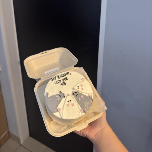 review-photo-before