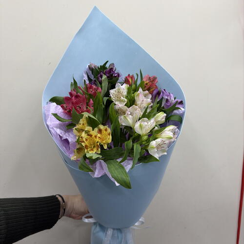 review-photo-before