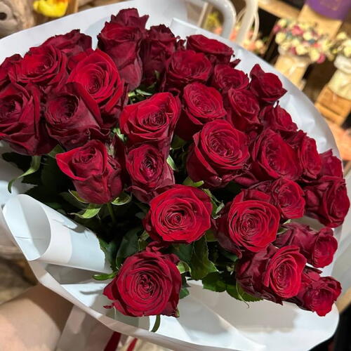 review-photo-before
