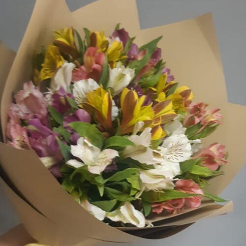 review-photo-before