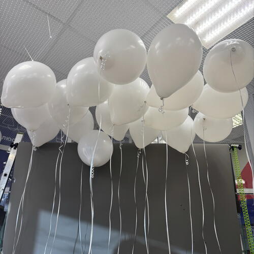 review-photo-before
