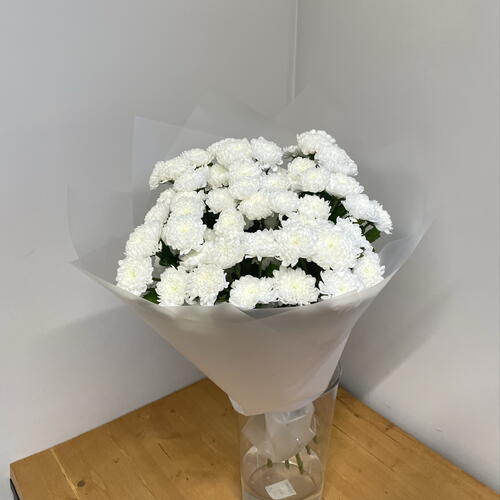 review-photo-before