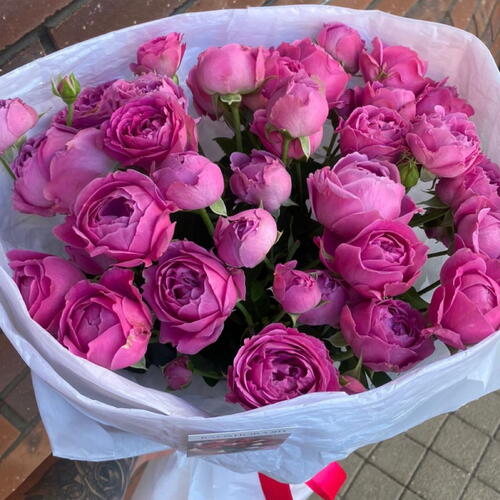 review-photo-before