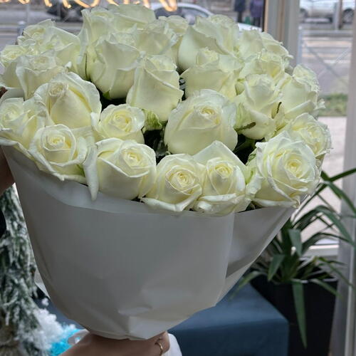 review-photo-before