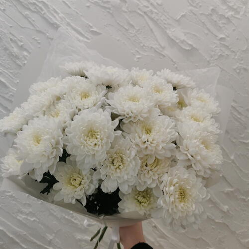 review-photo-before