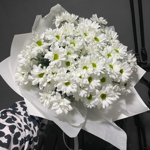 review-photo-before