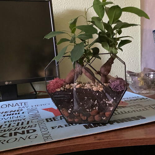 review-photo-before