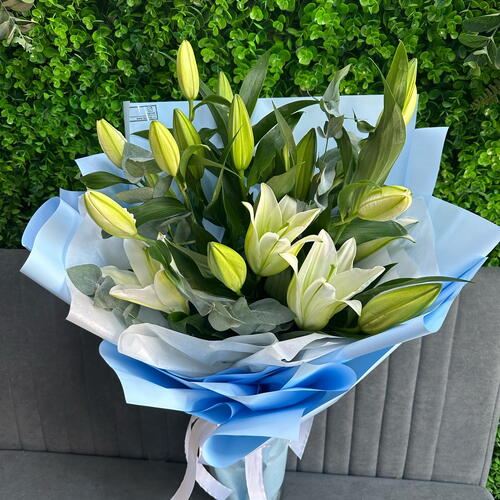 review-photo-before