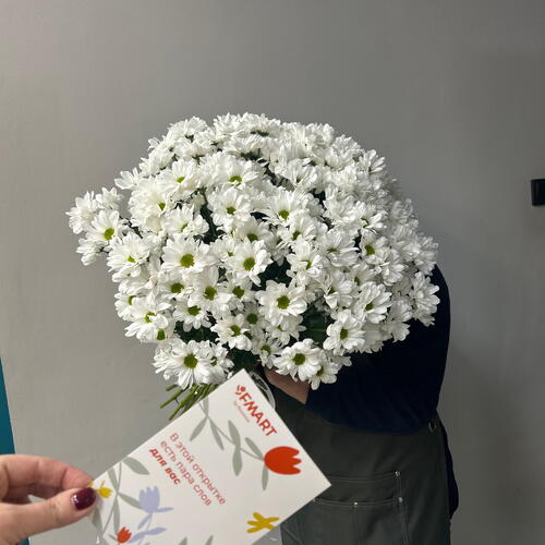 review-photo-before