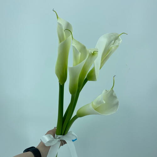 review-photo-before
