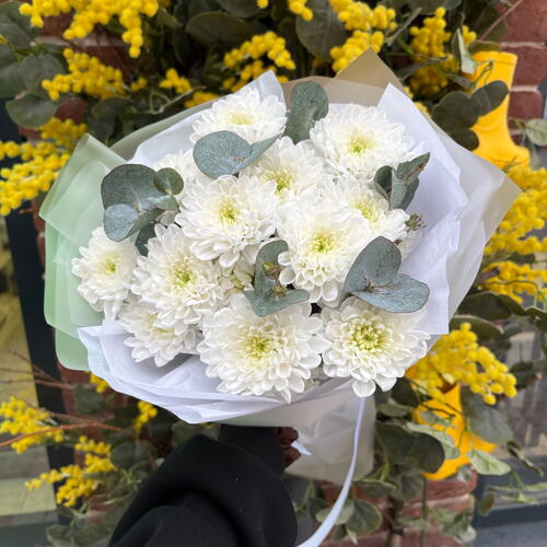 review-photo-before