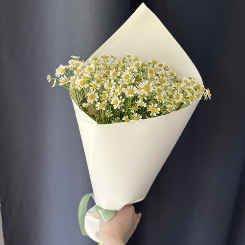 review-photo-before