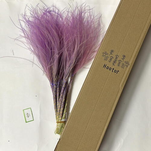 review-photo-before