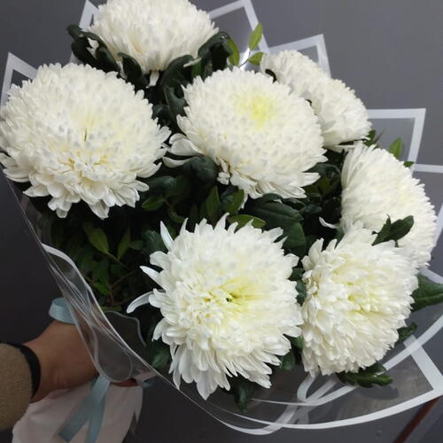 review-photo-before
