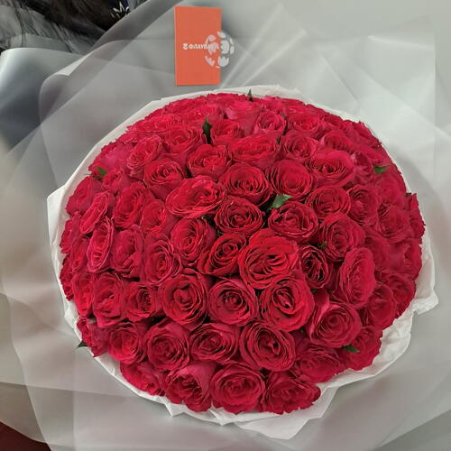 review-photo-before
