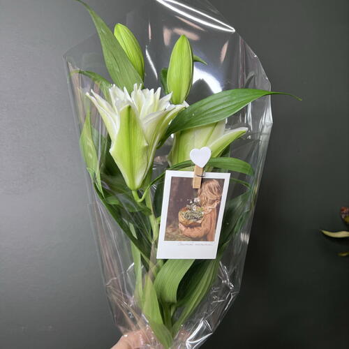 review-photo-before