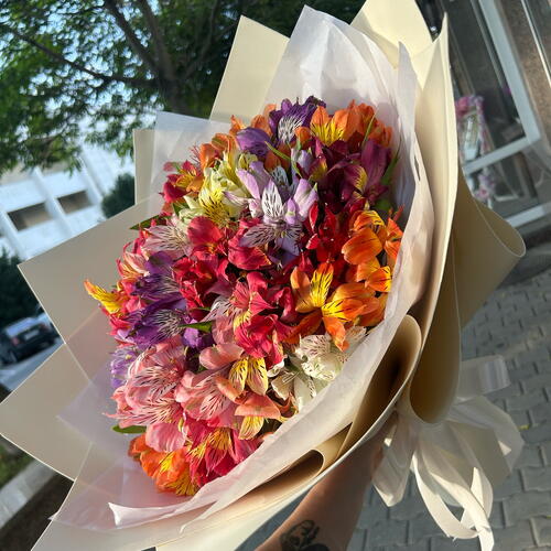 review-photo-before