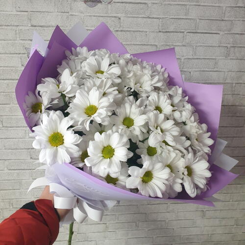 review-photo-before