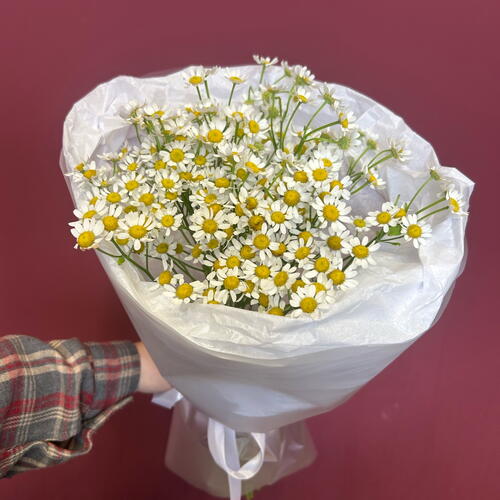 review-photo-before