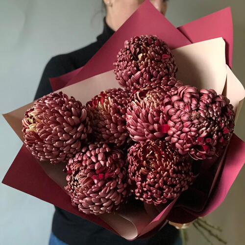 review-photo-before