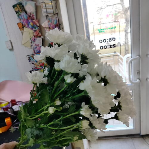 review-photo-before