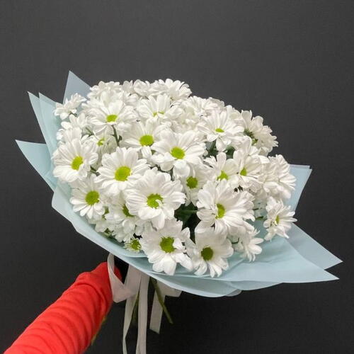 review-photo-before