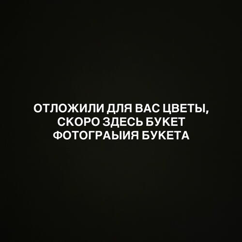 review-photo-before