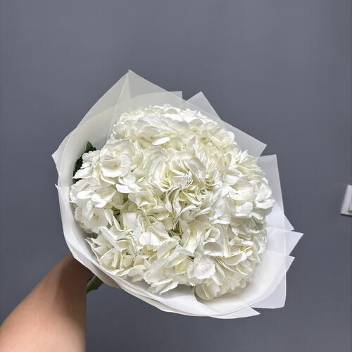review-photo-before