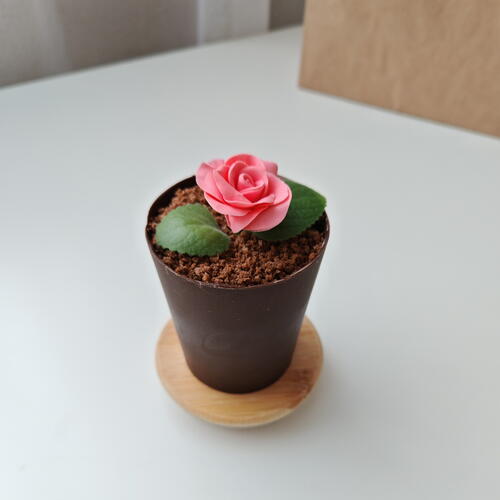 review-photo-before