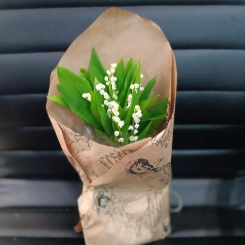 review-photo-before
