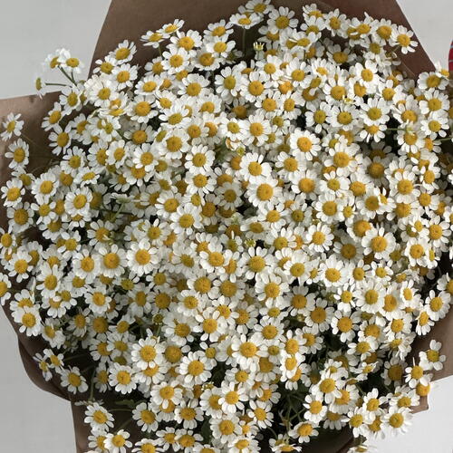 review-photo-before