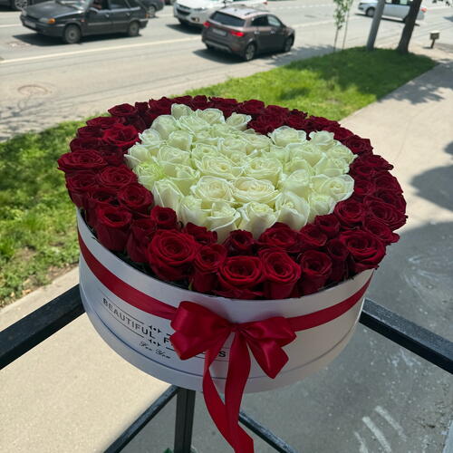 review-photo-before