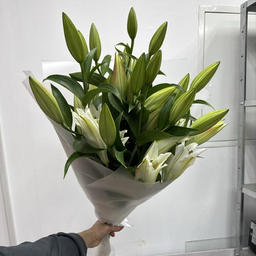 review-photo-before