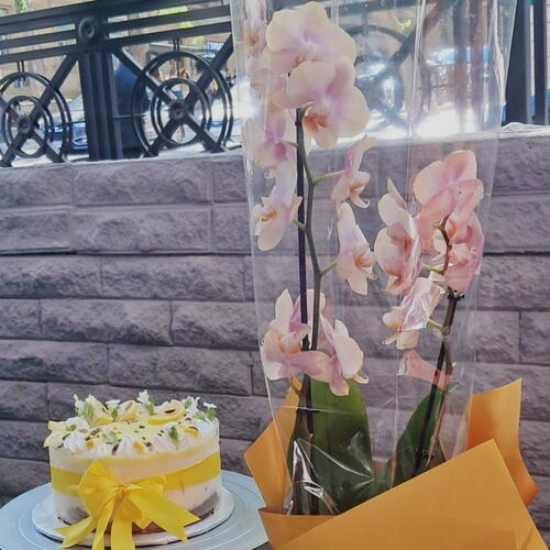 review-photo-before