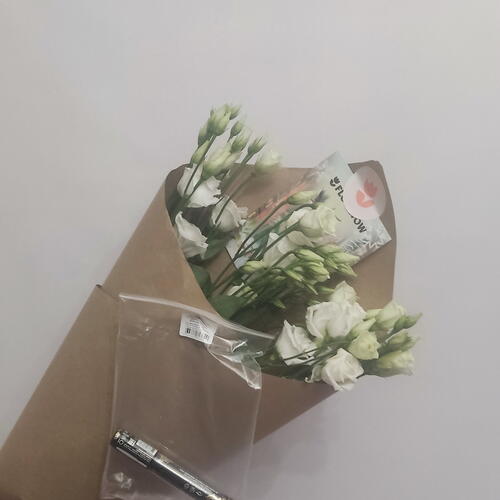 review-photo-before
