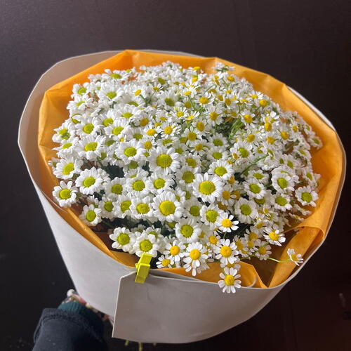 review-photo-before