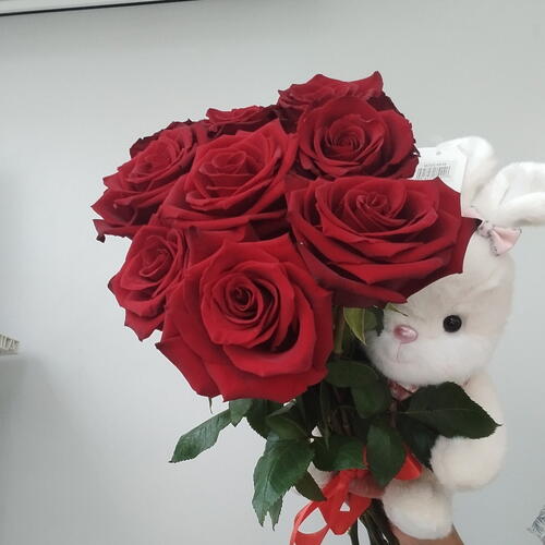 review-photo-before
